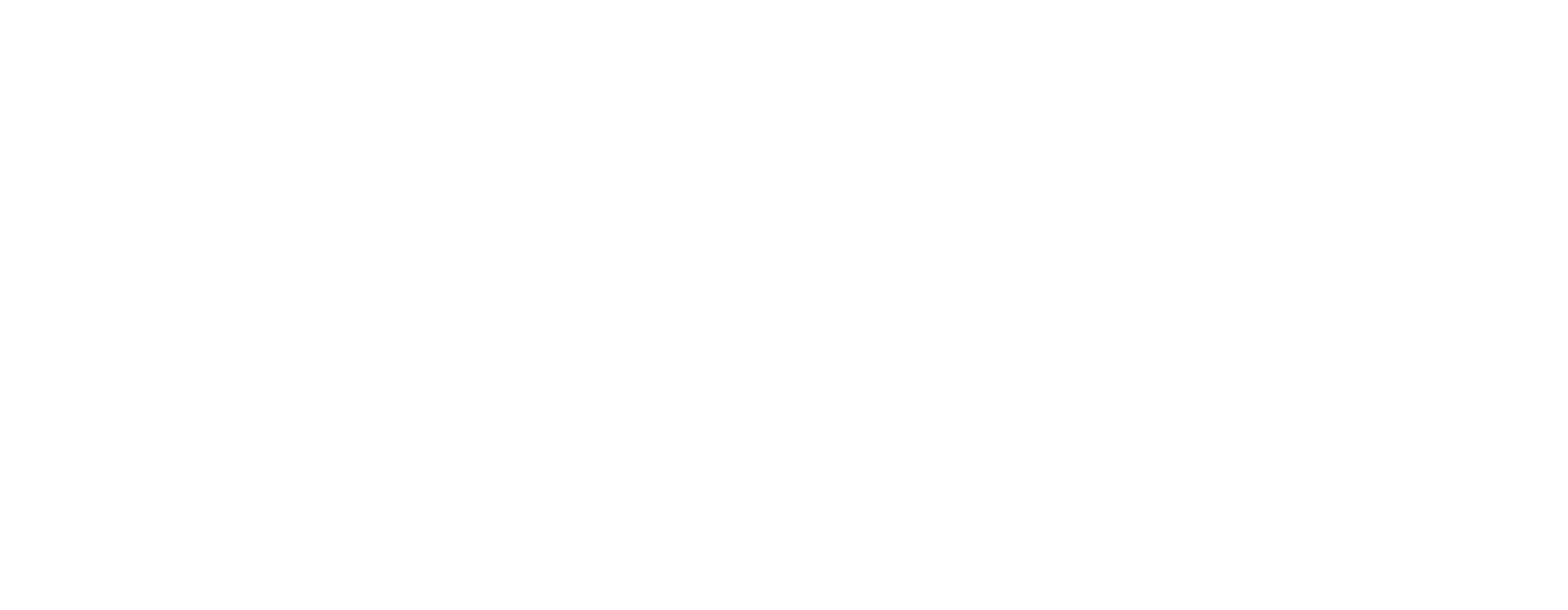 Borea Logo
